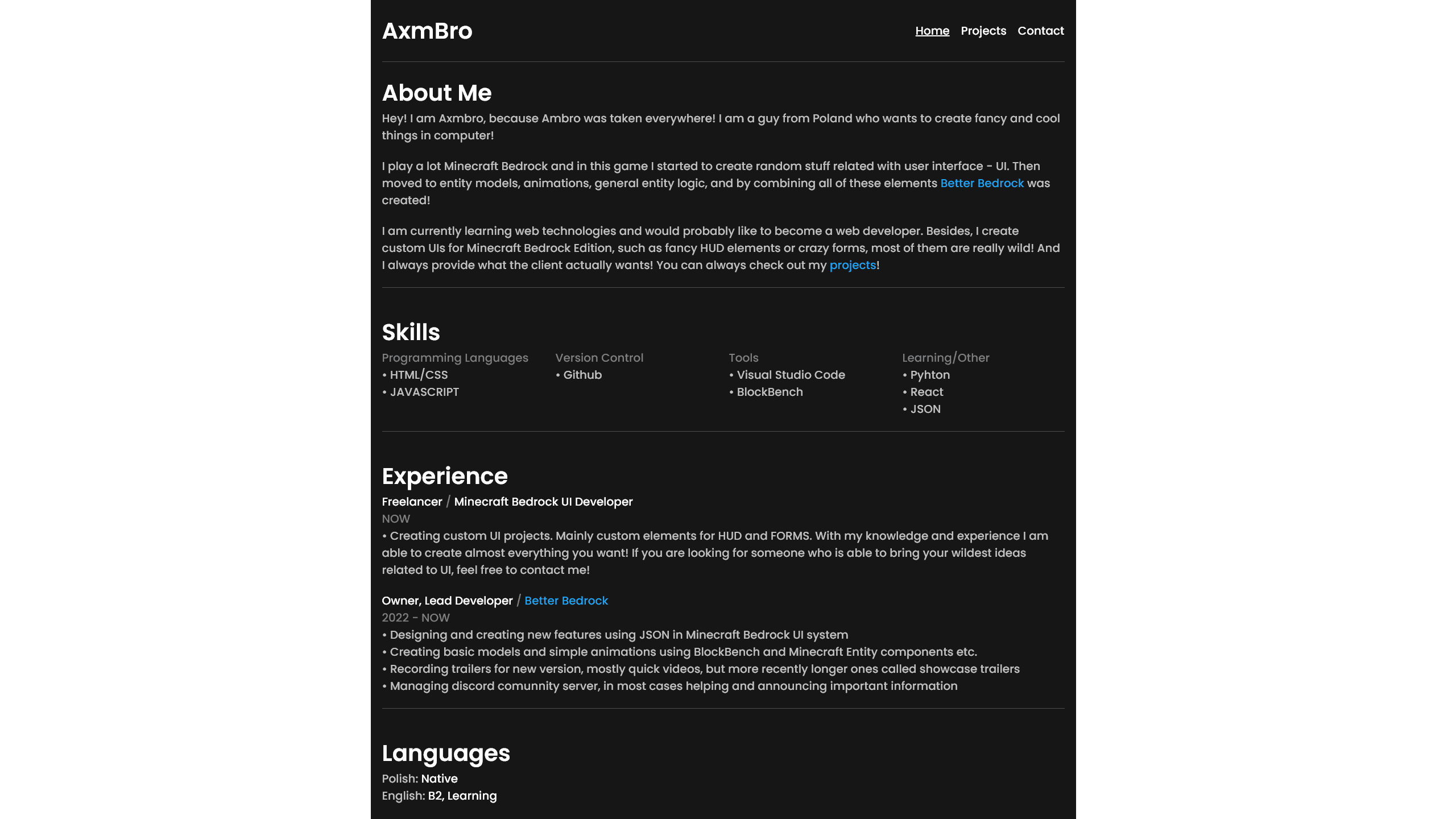 This Website project preview